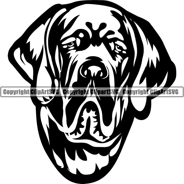 Saint Bernard Dog Breed Head Face ClipArt SVG 007