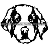 Saint Bernard Dog Breed Head Face ClipArt SVG 004