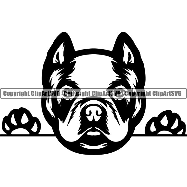 Pit Bull Peeking Dog Breed ClipArt SVG 002