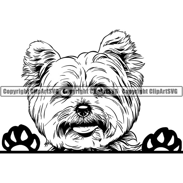 Yorkshire Terrier Peeking Dog Breed ClipArt SVG 006