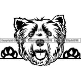 West Highland White Terrier Peeking Dog Breed ClipArt SVG 004