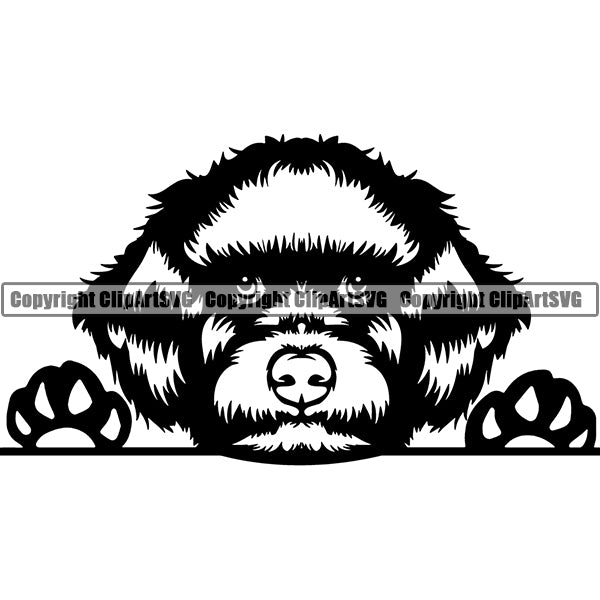 Lagotto Romagnolo Peeking Dog Breed ClipArt SVG 002