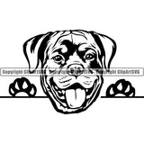 Rottweiler Peeking Dog Breed ClipArt SVG 004