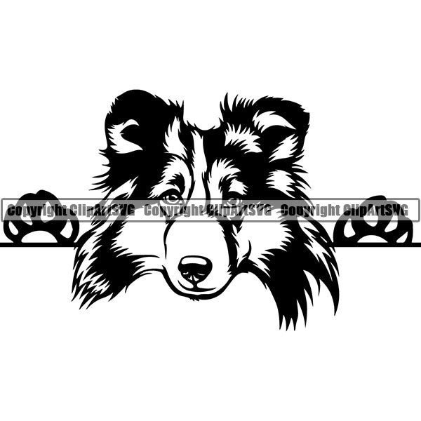 Shetland Sheepdog Peeking Dog Breed ClipArt SVG 002