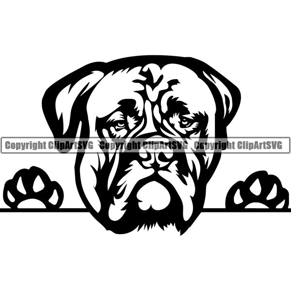 Bull Mastiff Peeking Dog Breed Clipart SVG