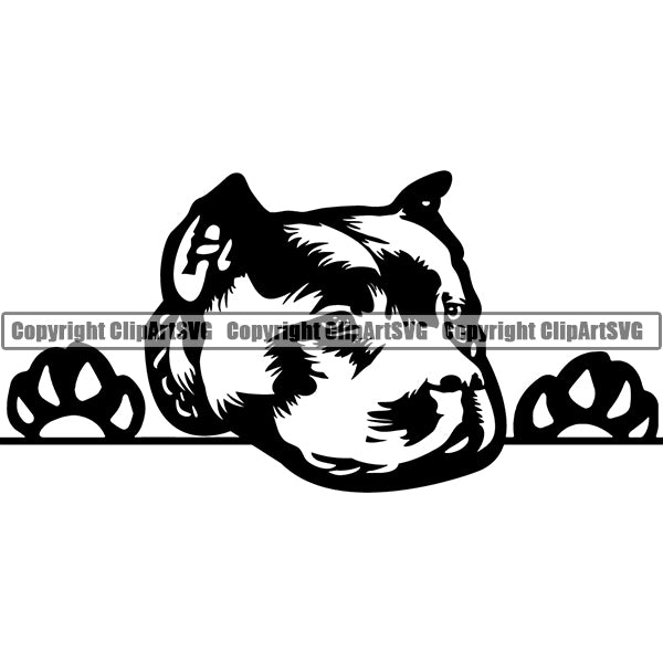 Pit Bull Peeking Dog Breed ClipArt SVG 001