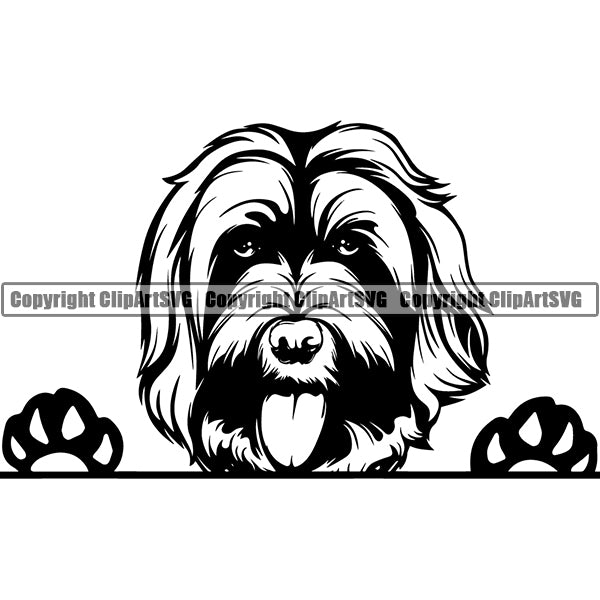 Labradoodle Peeking Dog Breed ClipArt SVG 001