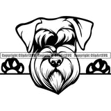 Schnauzer Peeking Dog Breed ClipArt SVG 001