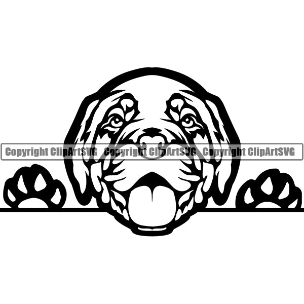 Dogue De Bordeaux Peeking Dog Breed ClipArt SVG 004