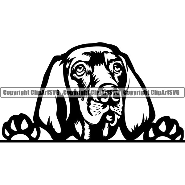 German Pointer Peeking Dog Breed ClipArt SVG