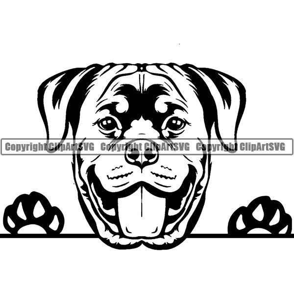 Rottweiler Peeking Dog Breed ClipArt SVG 002