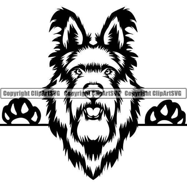Berger Picard Peeking Dog Breed Clipart SVG