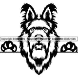 Berger Picard Peeking Dog Breed Clipart SVG
