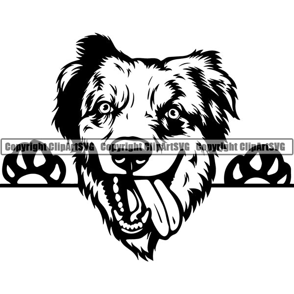 Australian Shepherd Peeking Dog Breed Clipart SVG 002