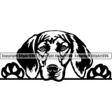 Pit Bull Peeking Dog Breed ClipArt SVG 026