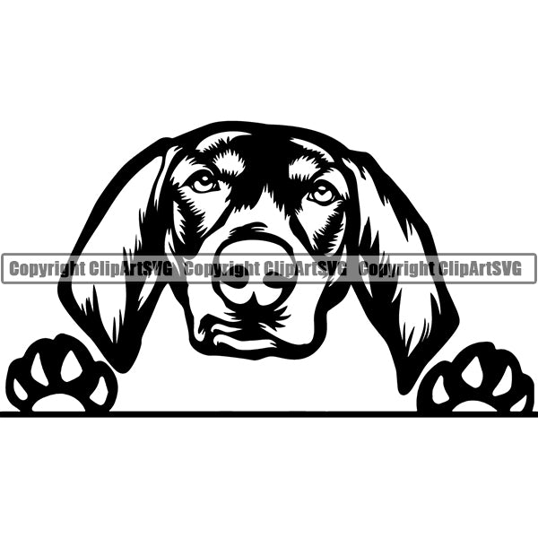 Bluetick Coonhound Peeking Dog Breed Clipart SVG 001