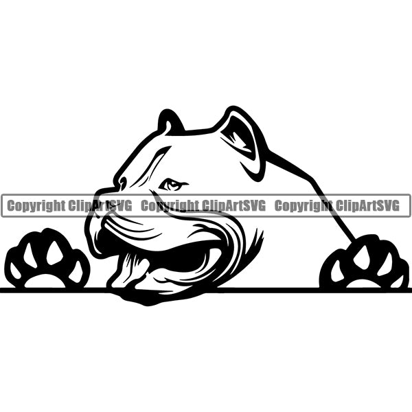 Pit Bull Peeking Dog Breed ClipArt SVG 021