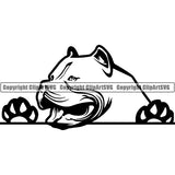 Pit Bull Peeking Dog Breed ClipArt SVG 021