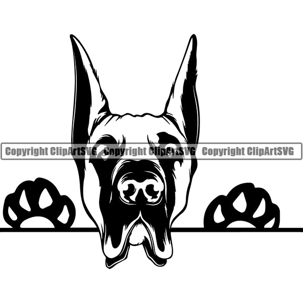 Great Dane Peeking Dog Breed ClipArt SVG 001