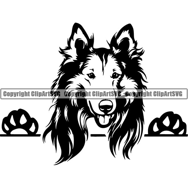Rough Collie Peeking Dog Breed ClipArt SVG 001