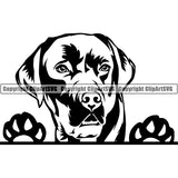 Labrador Retriever Peeking Dog Breed ClipArt SVG 006
