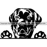 Labrador Retriever Peeking Dog Breed ClipArt SVG 005