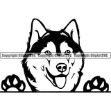 Siberian Husky Peeking Dog Breed ClipArt SVG 005