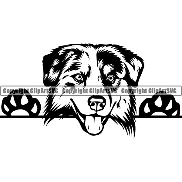 Australian Shepherd Peeking Dog Breed Clipart SVG 001
