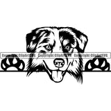 Australian Shepherd Peeking Dog Breed Clipart SVG 001