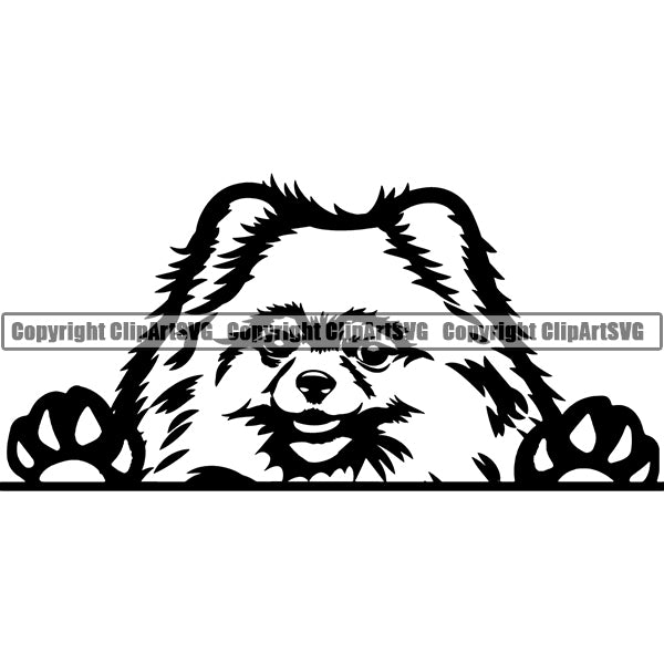 Pomeranian Peeking Dog Breed ClipArt SVG 002