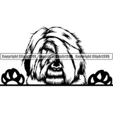 Briard Peeking Dog Breed Clipart SVG 002