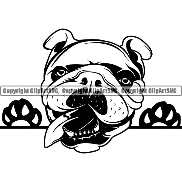 English Bulldog Peeking Dog Breed ClipArt SVG 001