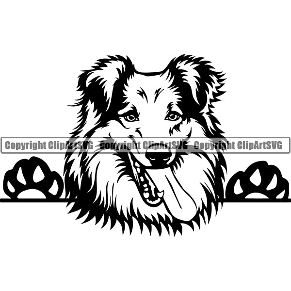 Shetland Sheepdog Peeking Dog Breed ClipArt SVG 004