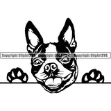 Boston Terrier Peeking Dog Breed Clipart SVG 005