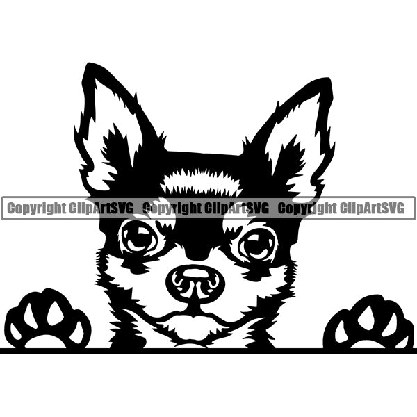 Chihuahua Peeking Dog Breed Clipart SVG 015