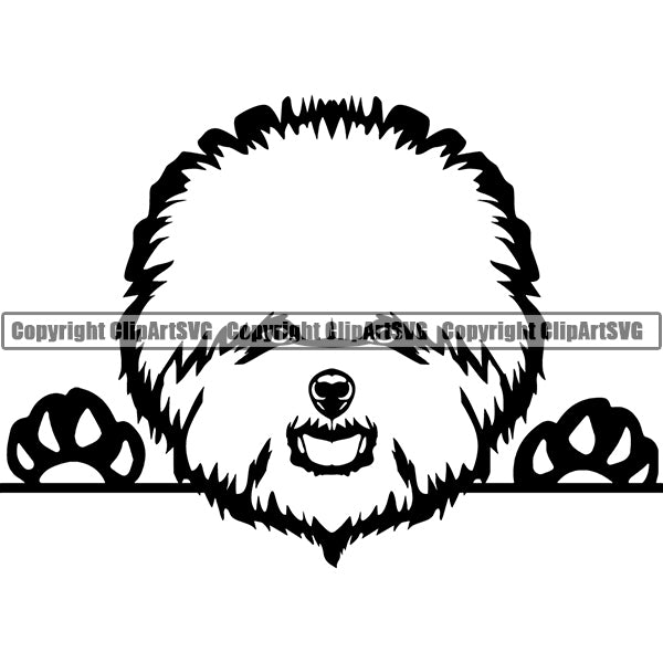 Bichon Frise Peeking Dog Breed Clipart SVG 002
