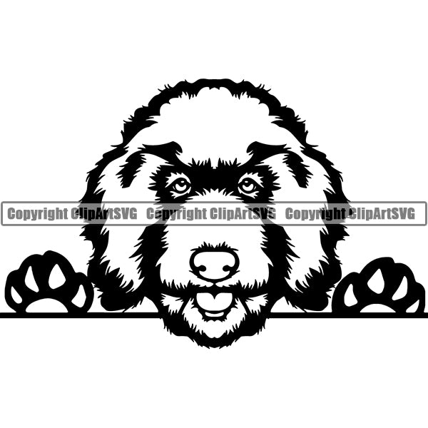 Goldendoodle Peeking Dog Breed ClipArt SVG 004