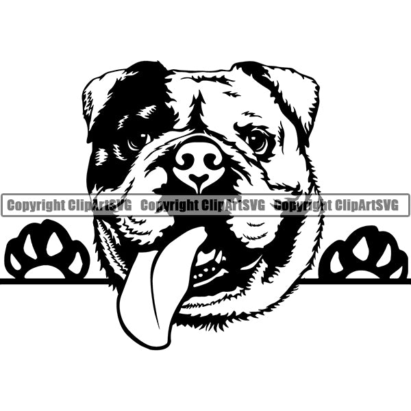 English Bulldog Peeking Dog Breed ClipArt SVG 005