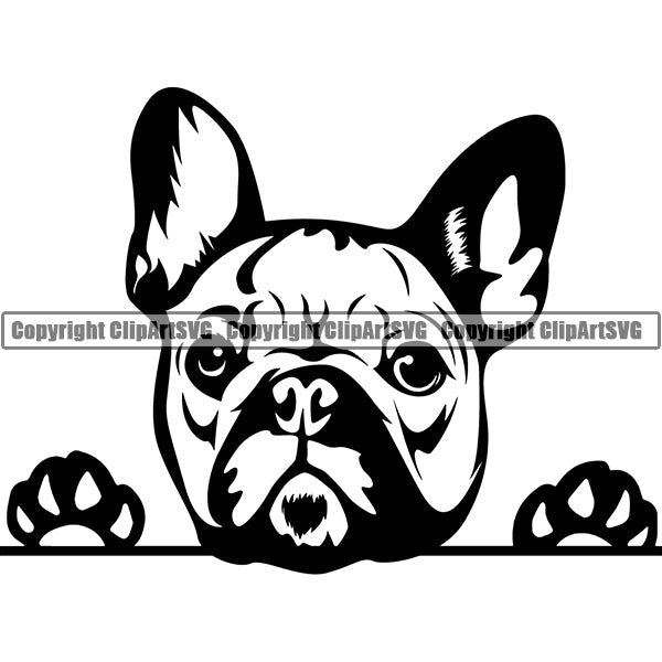 French Bulldog Peeking Dog Breed ClipArt SVG 003