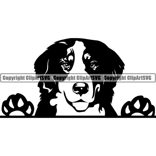 Bernese Mountain Peeking Dog Breed Clipart SVG 001