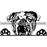 English Bulldog Peeking Dog Breed ClipArt SVG 013