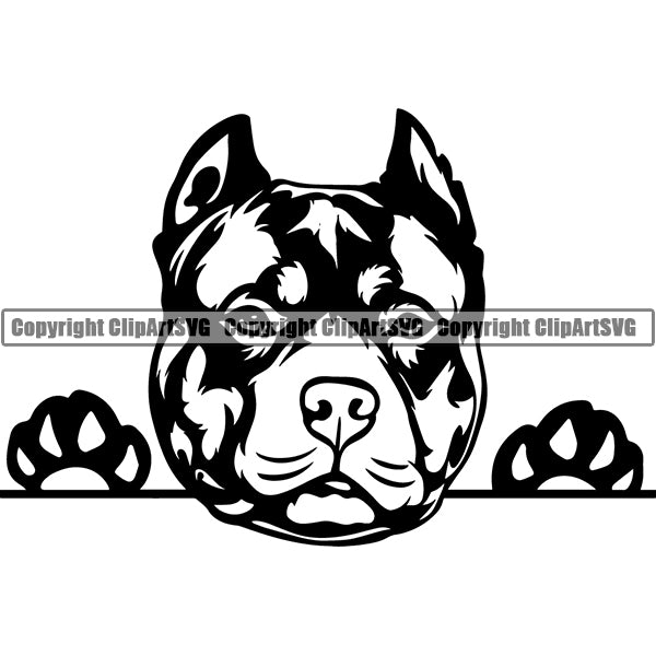 Pit Bull Peeking Dog Breed ClipArt SVG 017