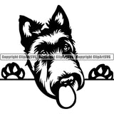 Scottish Terrier Peeking Dog Breed ClipArt SVG