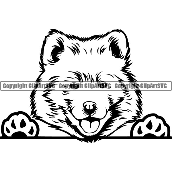 Samoyed Peeking Dog Breed ClipArt SVG 001