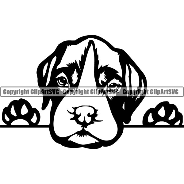German Boxer Peeking Dog Breed ClipArt SVG 001