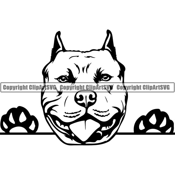Pit Bull Peeking Dog Breed ClipArt SVG 008