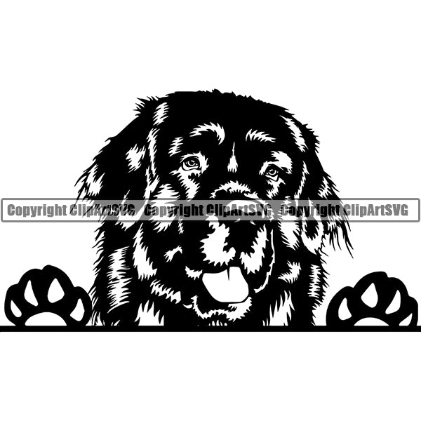 Newfoundland Peeking Dog Breed ClipArt SVG 004