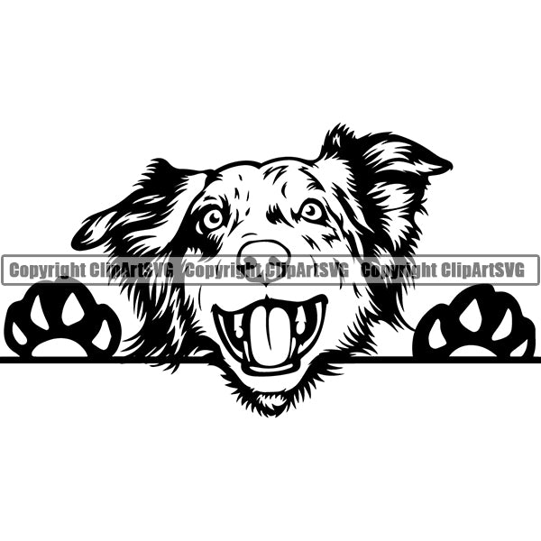 Australian Shepherd Peeking Dog Breed Clipart SVG 004
