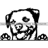 Border Collie Peeking Dog Breed Clipart SVG 001