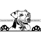 Jack Russell Terrier Peeking Dog Breed ClipArt SVG 007